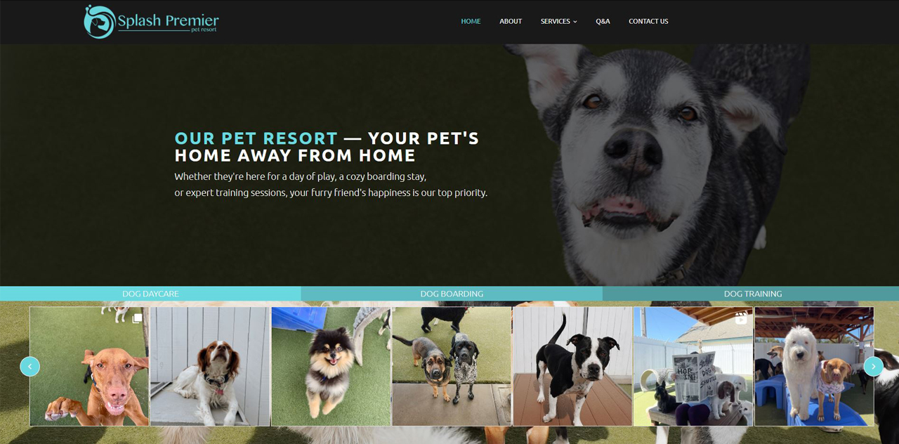 Homepage of Splash Premier Pet Resort featuring a collage of dogs enjoying various services like daycare, boarding, and training, emphasizing it as a 'home away from home' for pets.